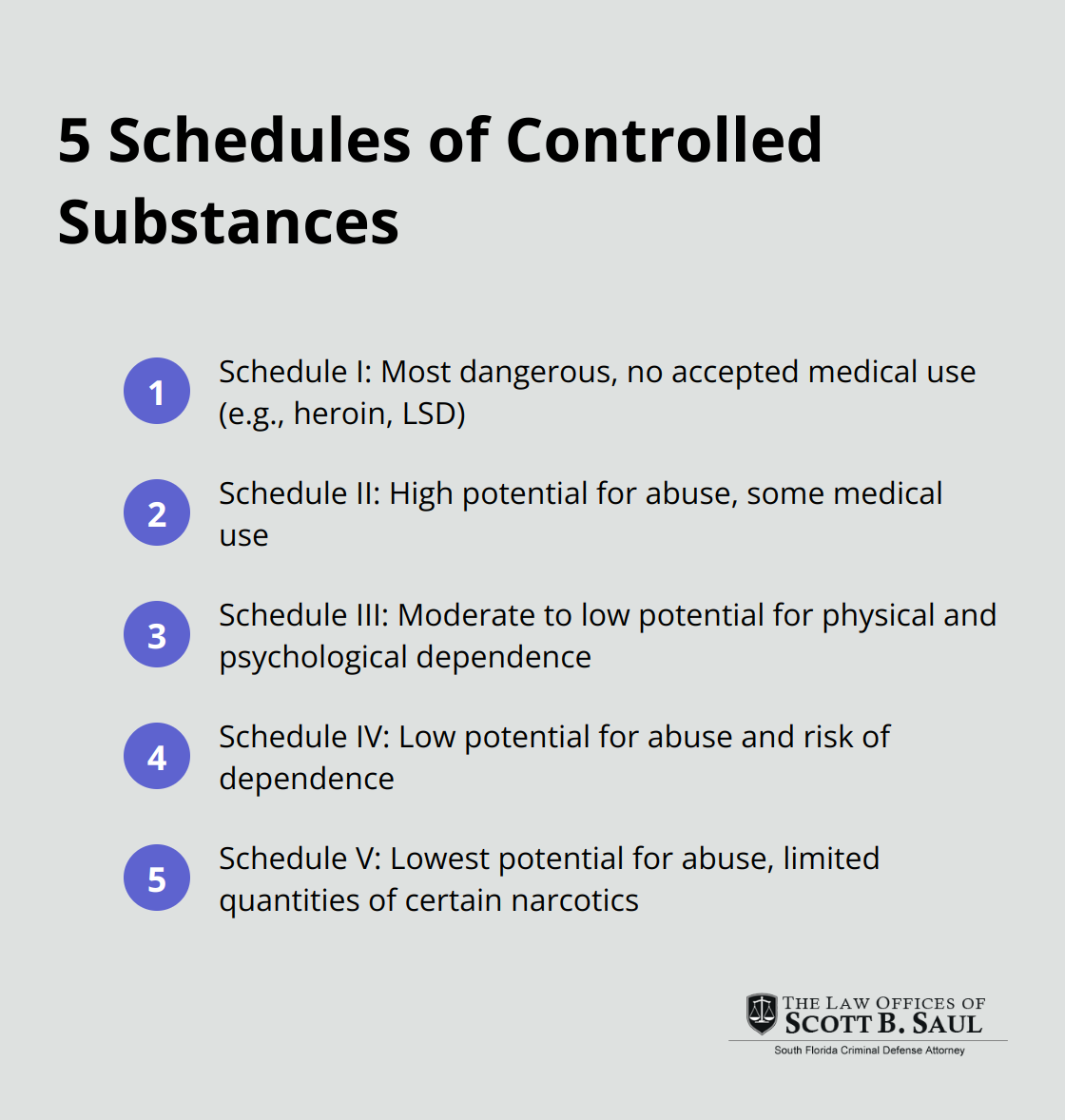 A chart showing the five schedules of controlled substances, from Schedule I (most dangerous) to Schedule V (least dangerous). - what is drug possession