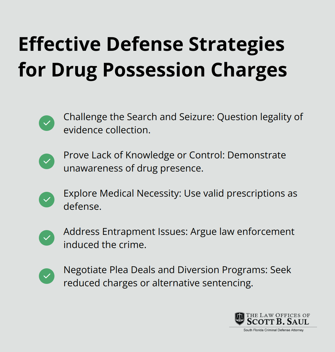 A checkmark list chart showing five defense strategies for drug possession charges: Challenge the Search and Seizure, Prove Lack of Knowledge or Control, Explore Medical Necessity, Address Entrapment Issues, and Negotiate Plea Deals and Diversion Programs.