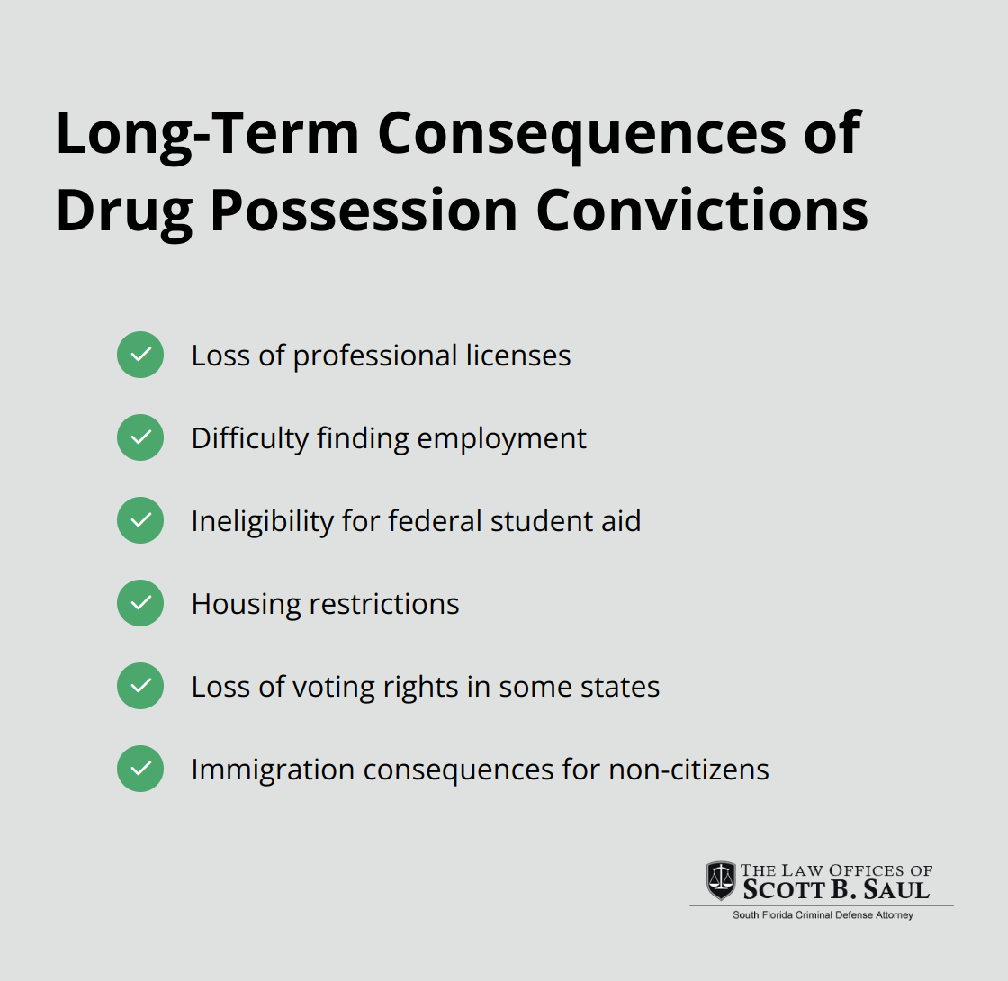 A checkmark list showing six long-term consequences of drug possession convictions: loss of professional licenses, difficulty finding employment, ineligibility for federal student aid, housing restrictions, loss of voting rights in some states, and immigration consequences for non-citizens. - drug possession law