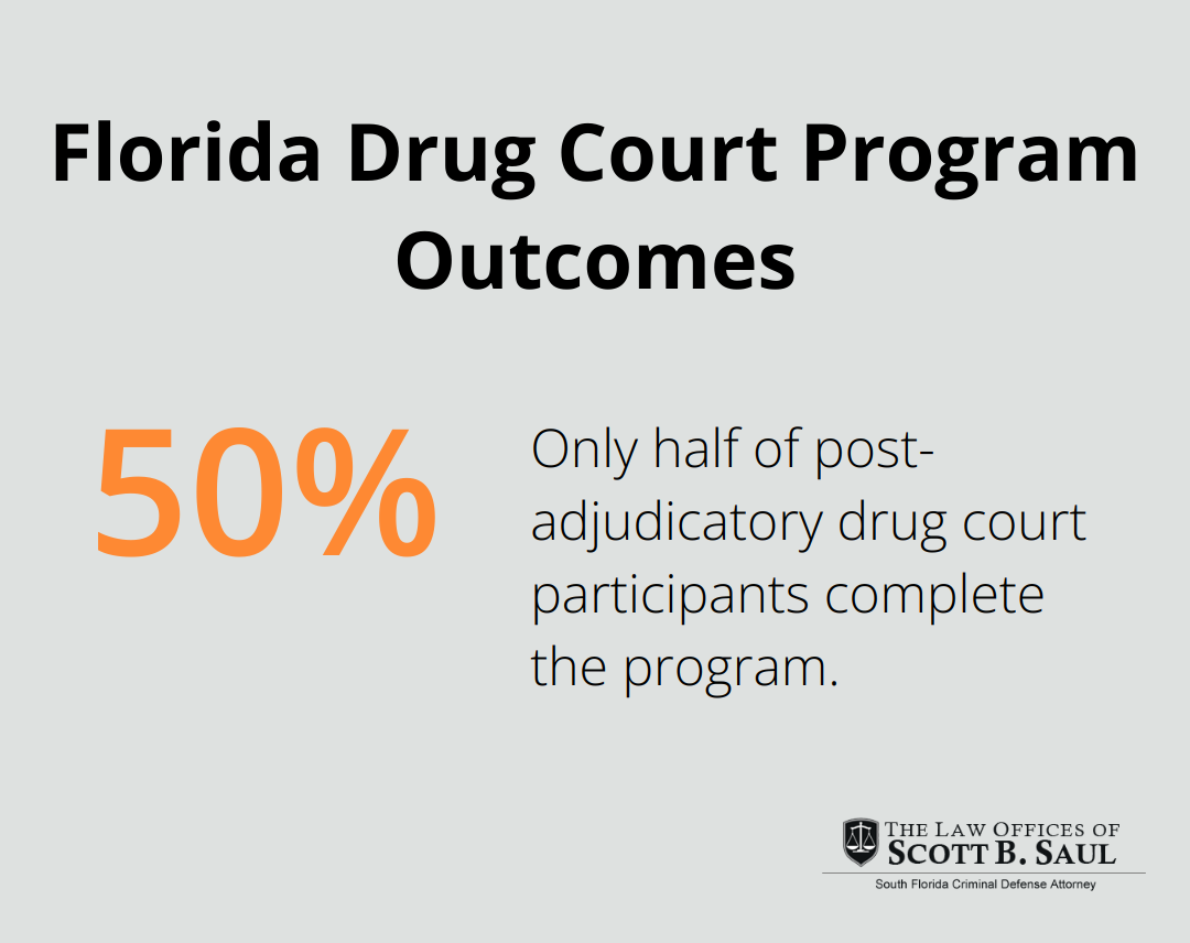 Percentage chart showing statistics related to the Florida Drug Court Program - drug possession first offense