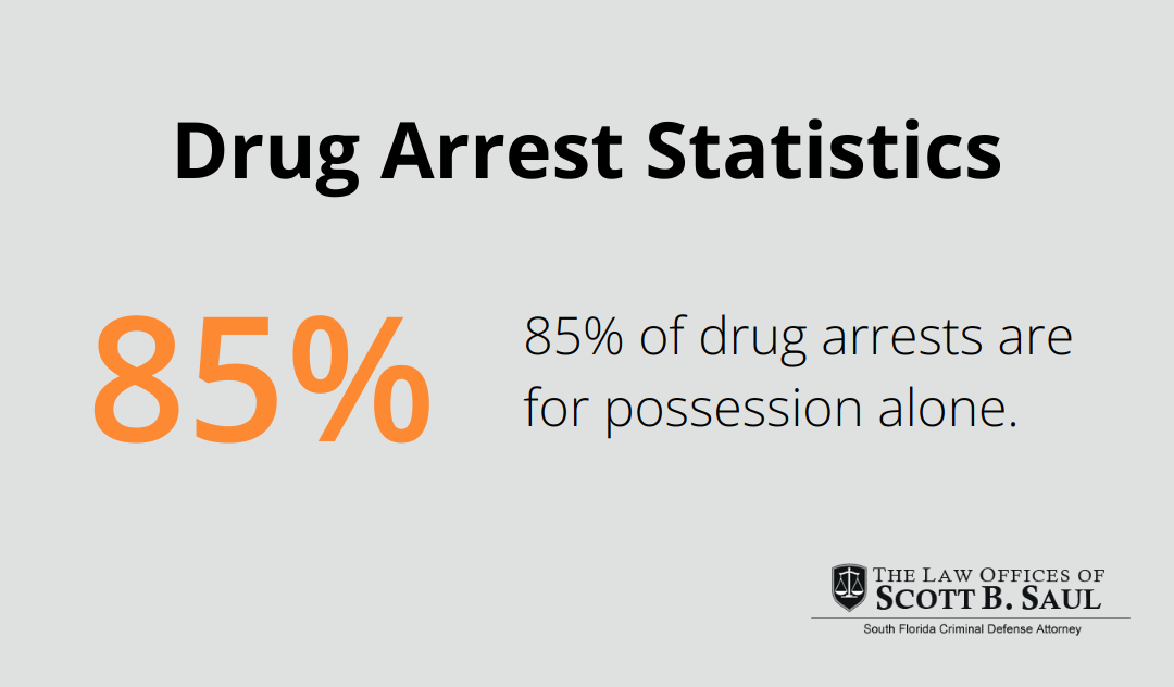Pie chart showing that 85% of drug arrests are for possession alone