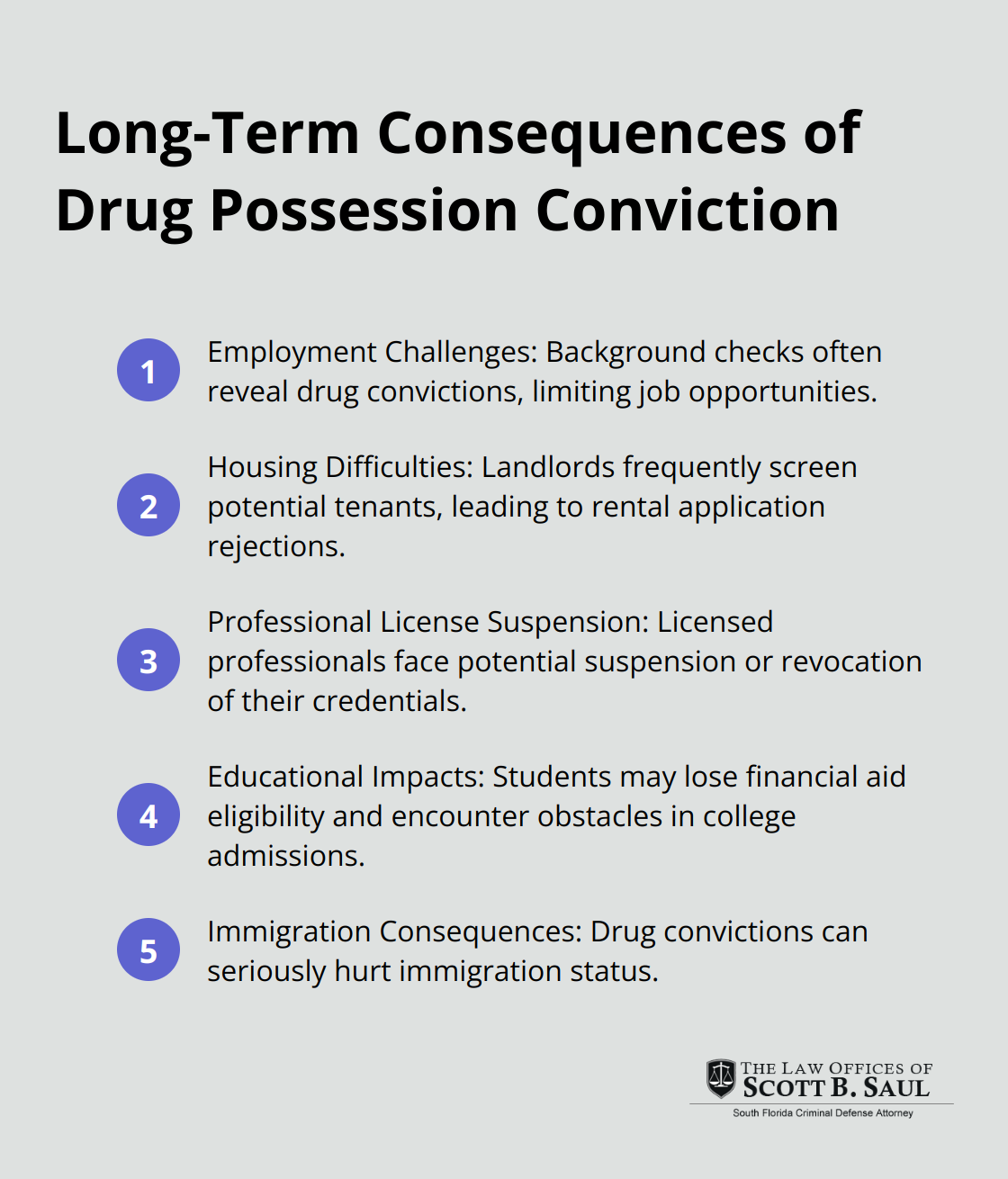 Ordered list of long-term consequences of drug possession conviction including impacts on employment, housing, professional licenses, education, and immigration status.