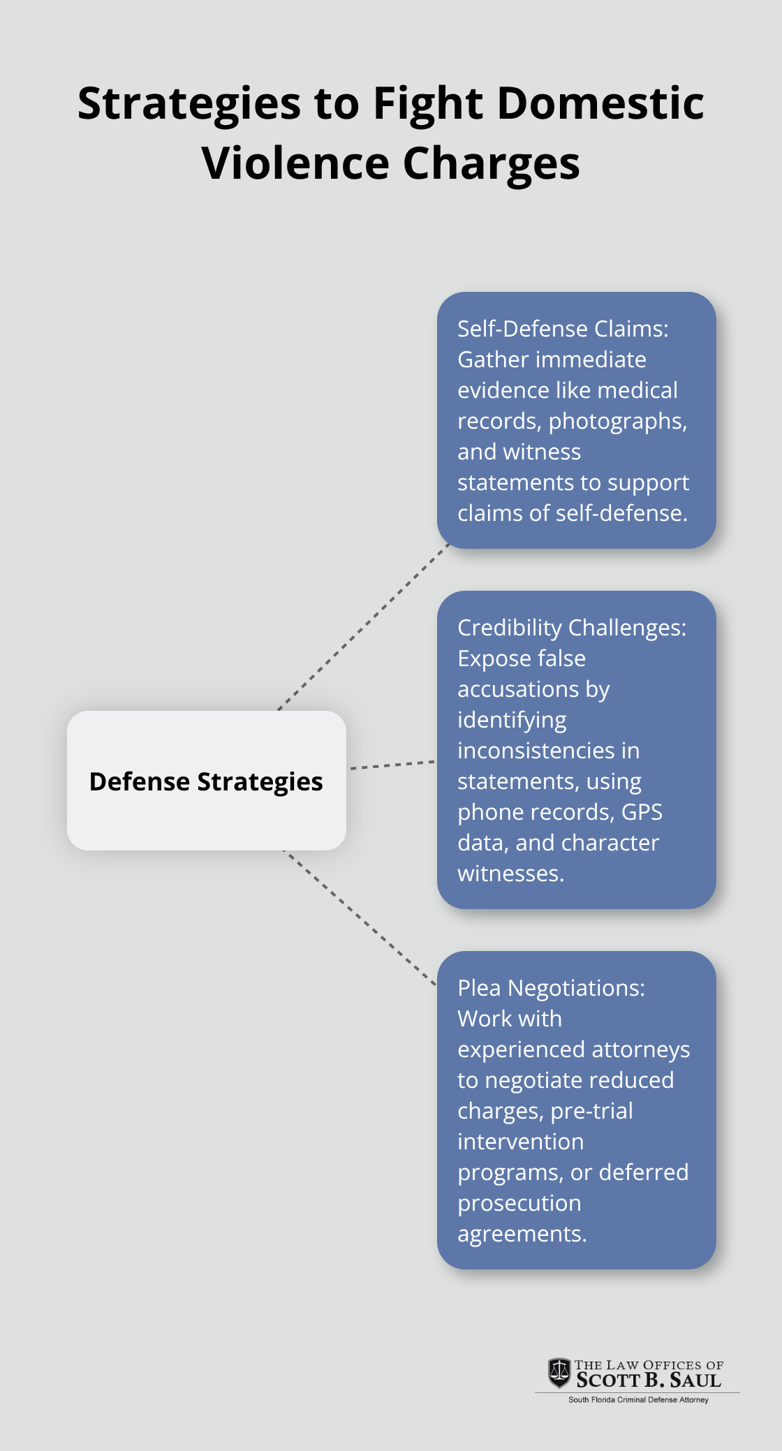 Hub and spoke chart showing various defense strategies for domestic violence charges - Florida domestic violence laws